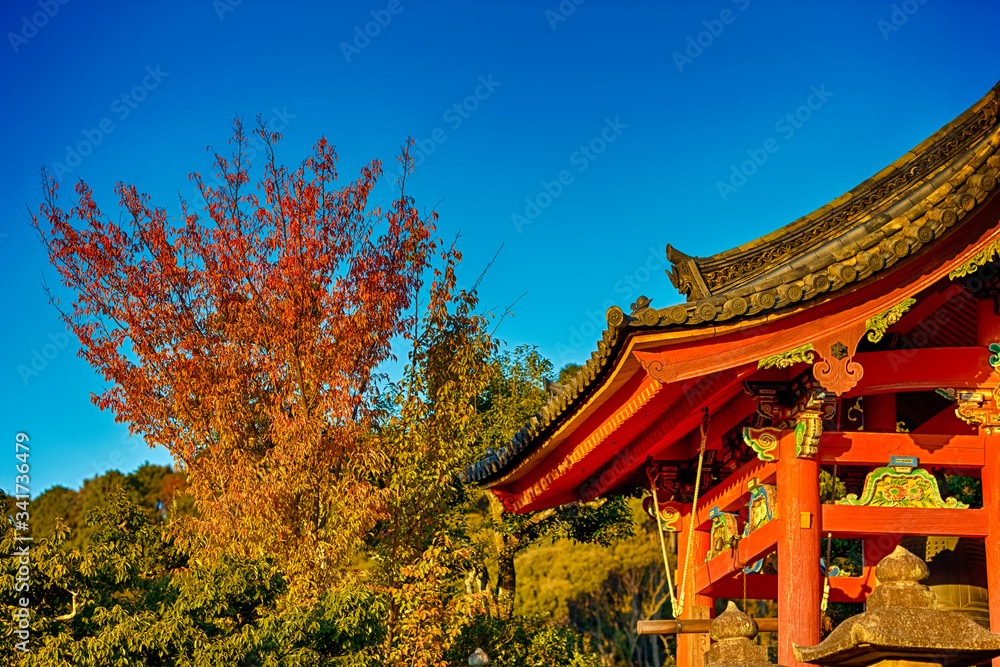 Japanese Religiuos Heritage. Wings of Kiyomizu-dera Temple At Daytime. Traditional Red Maples in Foregound.