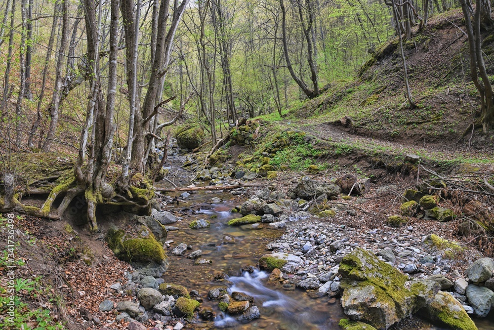 HDR landscape photography of river in wild HDR landscape photography of river in wild