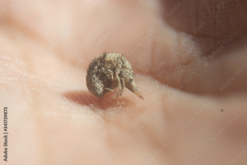 Obraz premium close up of a young woman holding a pearl necklace