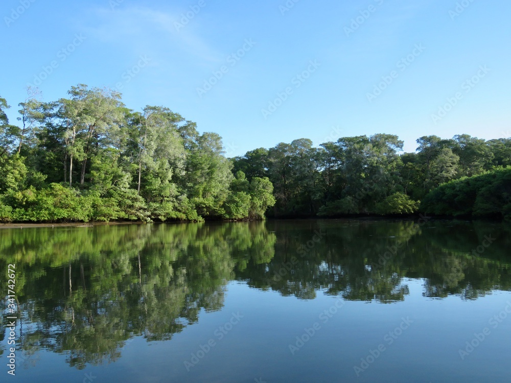 lake in the forest with reflection