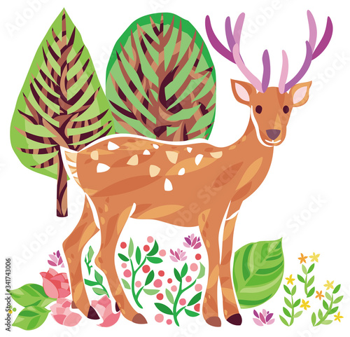 植物　動物　イラスト