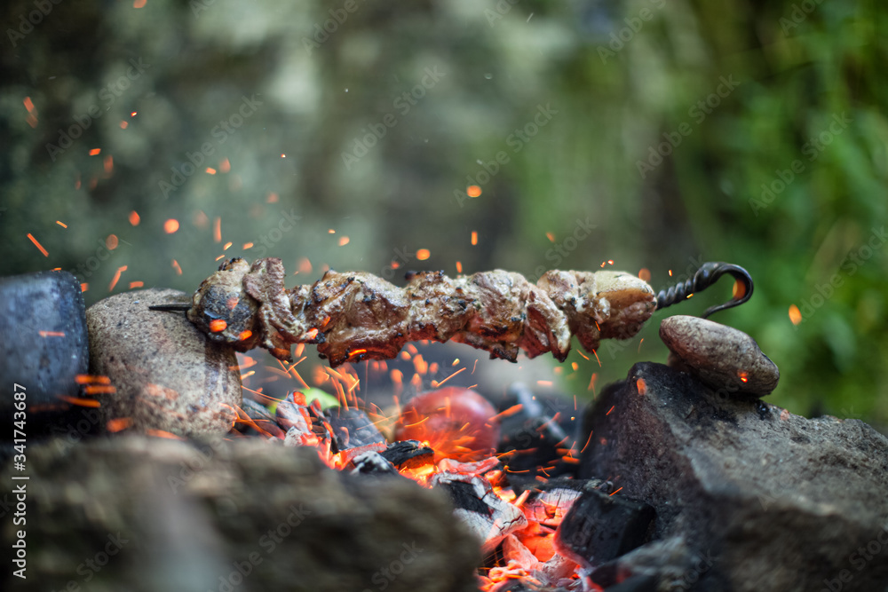 Beef kebab cooking on skewer with flame sparks barbecue on bonfire in forest at travel Beef kebab cooking on skewer with flame sparks barbecue on bonfire in forest at travel