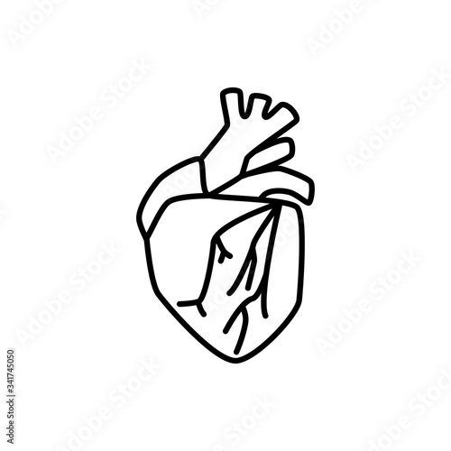Human heart sign. Simple line vector icon.