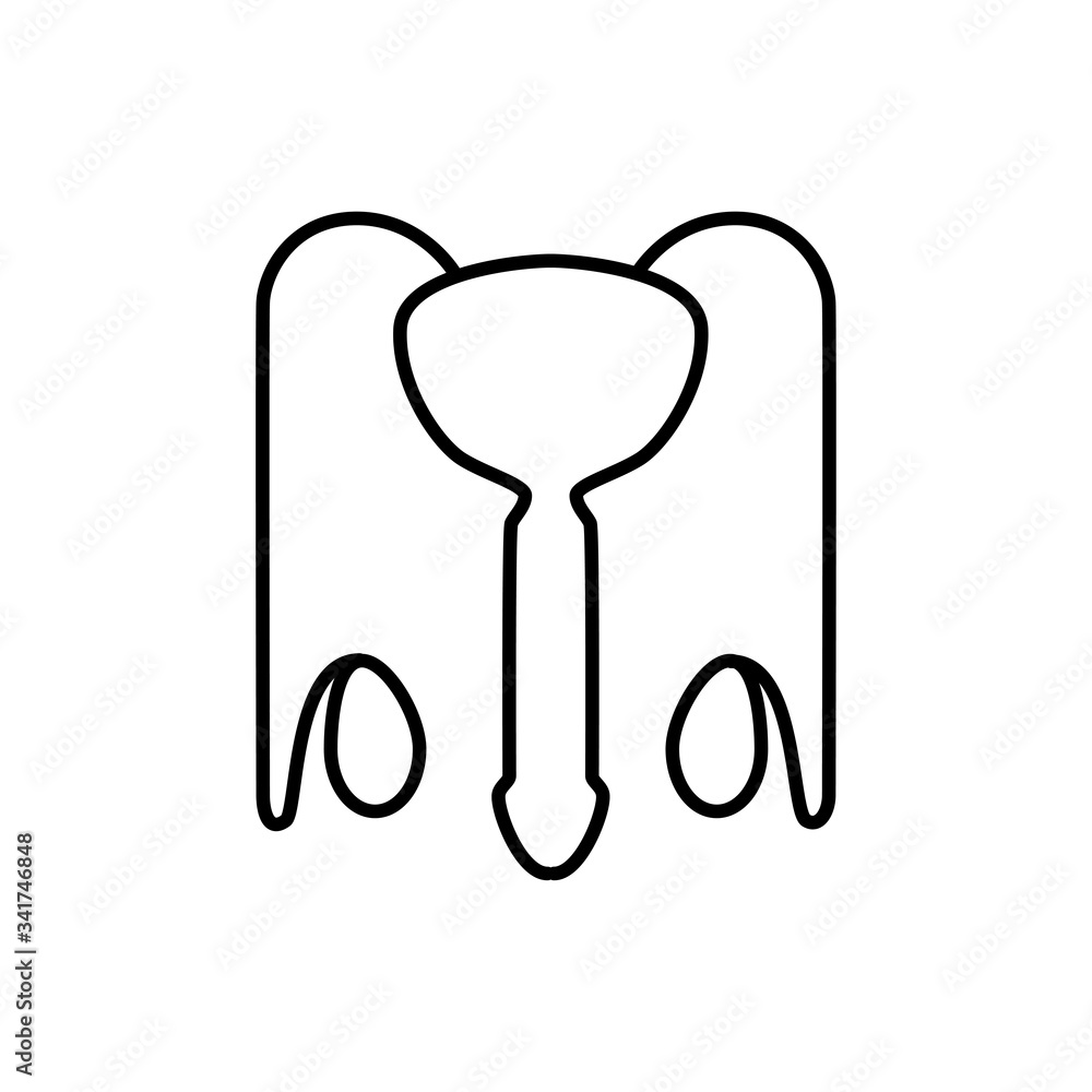 Male reproductive system. Simple line vector icon. Male reproductive system. Simple line vector icon.