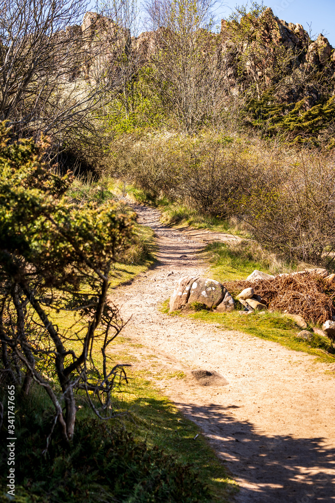 Foto de Hovs Hallar Nature Reserve with rocky landscape ends abruptly by the sea and is a very
