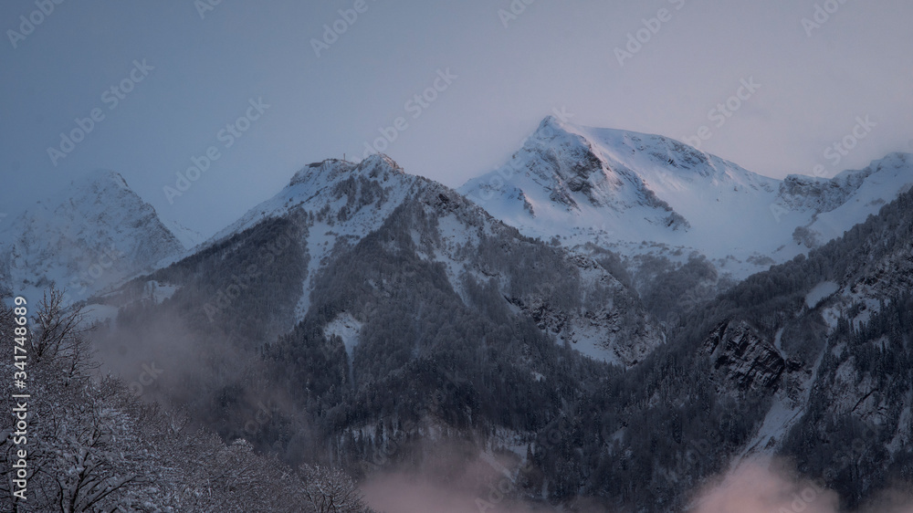 Fototapeta premium snow covered mountains