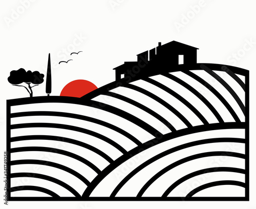 vineyard vector illustration rural landscape