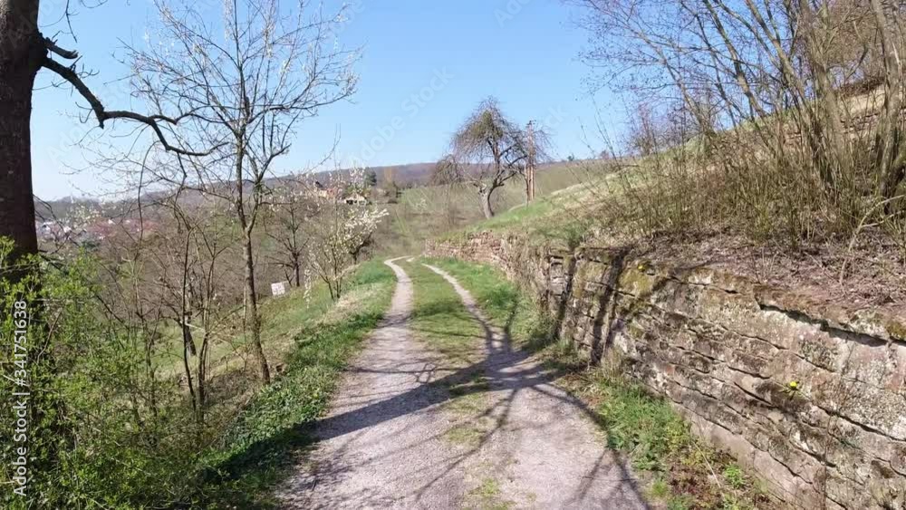 Way with field meadow and wall of stone countryside landscape