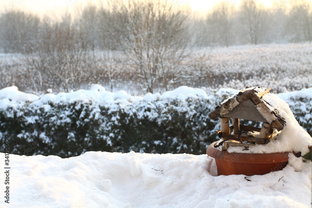 Naklejka premium winter landscape bird feeder