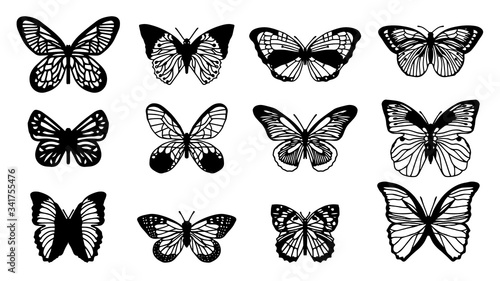 Butterflies carve set, Vector illustration. © bank