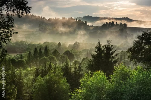 Fototapeta Polana we mgle.