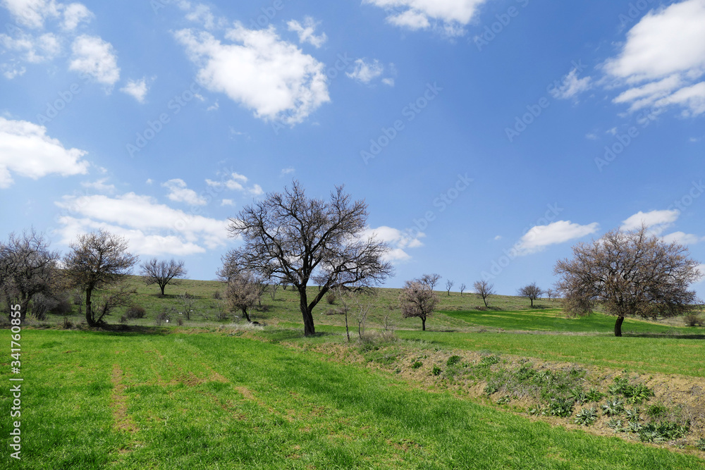 the awakening of nature in the continental climate, when the spring comes new, the terrestrial climate views in the spring, the awakening of nature in the continental climate, when the spring comes new, the terrestrial climate views in the spring,