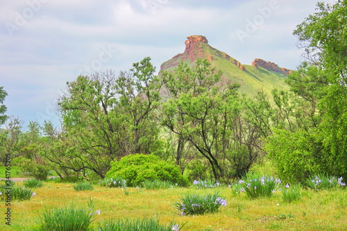 mountain in Hakasia covered with green grass photo