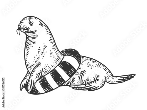 Seal circus animal with life buoy sketch engraving vector illustration. T-shirt apparel print design. Scratch board imitation. Black and white hand drawn image.