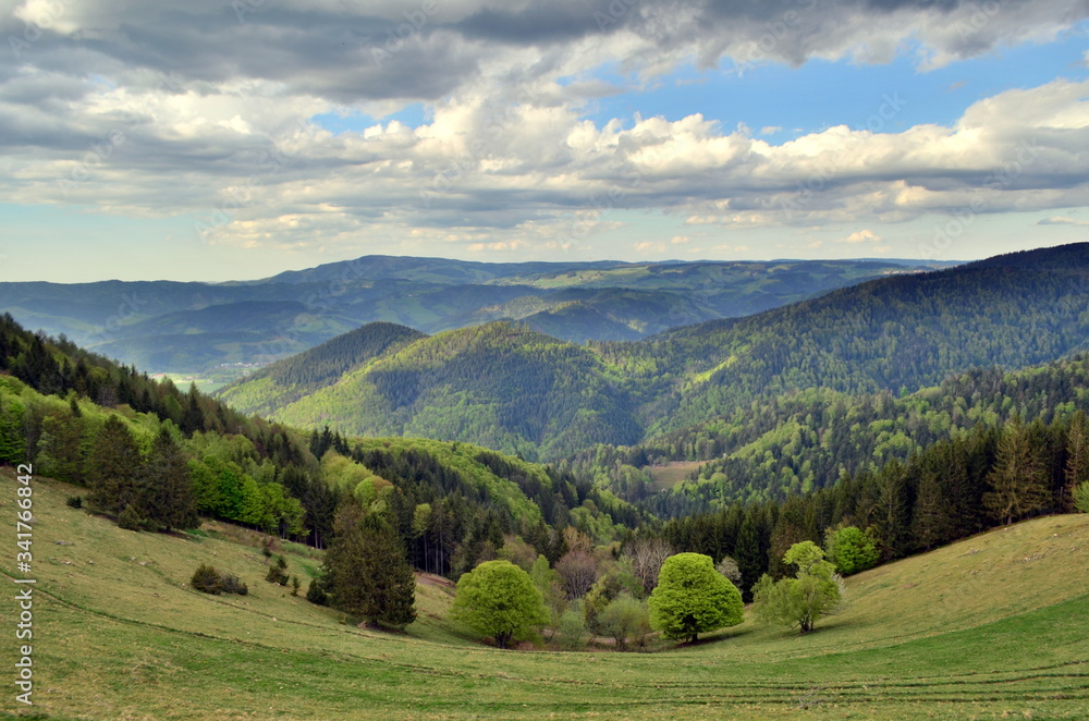 Fototapeta premium Blick vom Hinterwaldkopf auf den Schwarzwald
