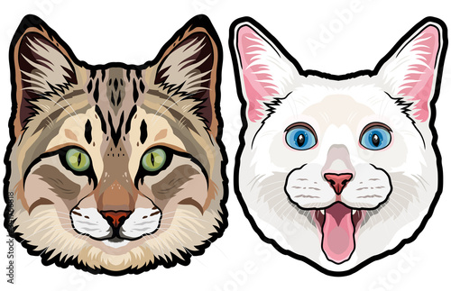 Set of two colored house cat heads vector illustration isolated