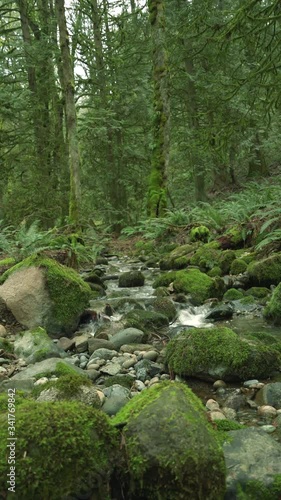 4K drone footage of Coal Creek river in Seattle Washington