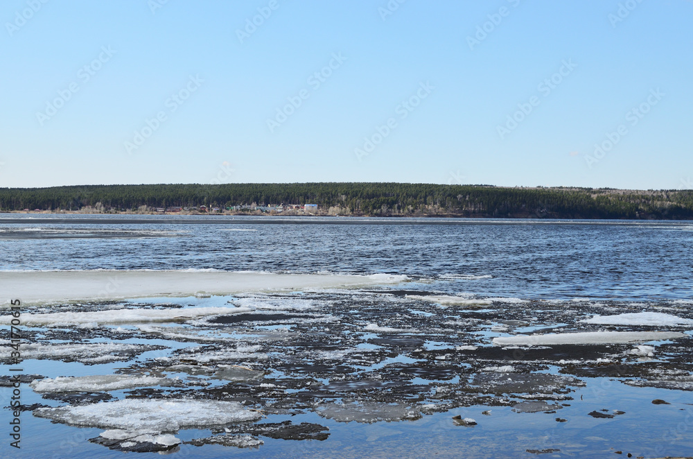 spring river with ice against the background of the forest and blue sky