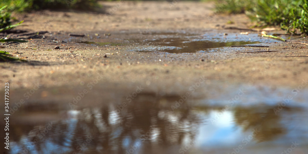 Pathway after rain in summer or spring time Pathway after rain in summer or spring time