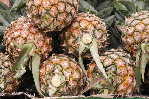 Photograph of pineapples which are piled up one on top of the other to form a backdrop which has been taken near teesta barrage photo