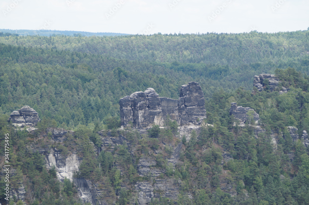 View of the Bastei Mountains and the forest.