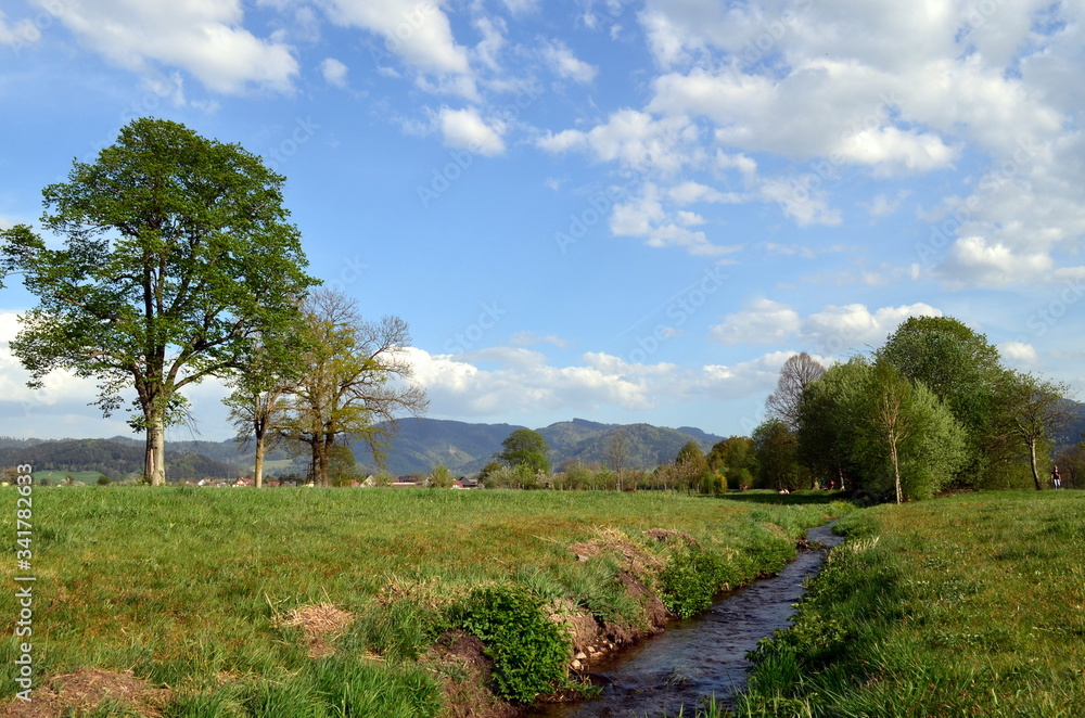 Frühlingslandschaft im Dreisamtal bei Freiburg Frühlingslandschaft im Dreisamtal bei Freiburg