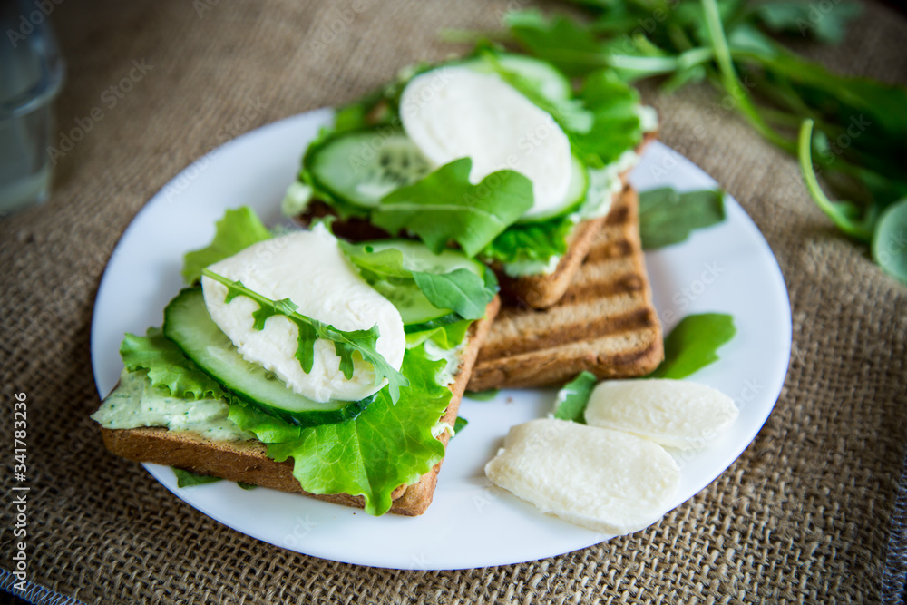 fried bread toasts with salad leaves, cheese spread and mozzarella in a plate fried bread toasts with salad leaves, cheese spread and mozzarella in a plate