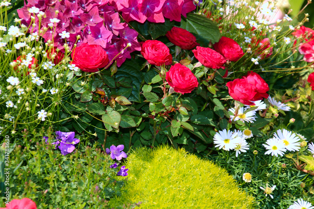 buntes blumenbeet im garten