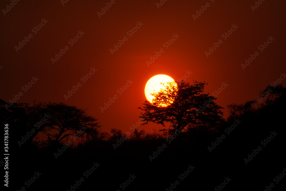 Setting the Sun at dusk from Guatemala City, silhouetted by mountains and trees, peaceful dusk in the middle of the Covid 19 pandemic Central America. Setting the Sun at dusk from Guatemala City, silhouetted by mountains and trees, peaceful dusk in the middle of the Covid 19 pandemic Central America.