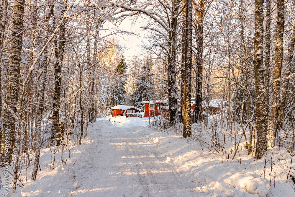 View of a snowy forest path with red houses in the background in a small Swedish village View of a snowy forest path with red houses in the background in a small Swedish village