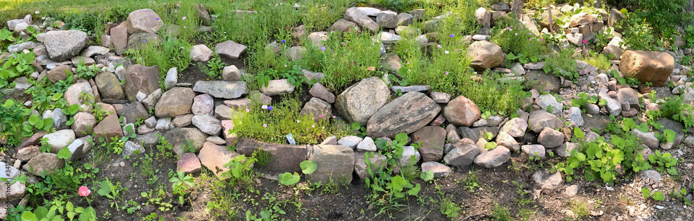 Panoramic view of a rock garden with wild flowers Panoramic view of a rock garden with wild flowers