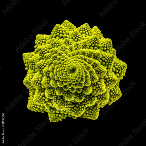 Romanesco - Goldener Schnitt