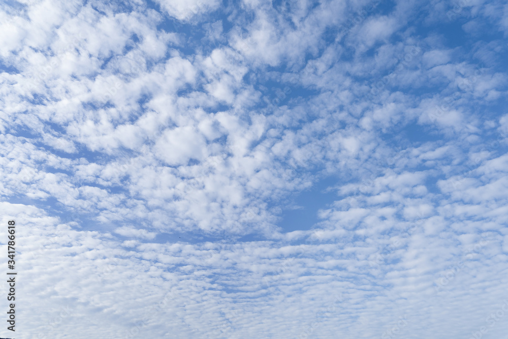 Fototapeta premium Cirrocumulus cloud is one of the three main genus-types of high-altitude tropospheric clouds.They usually occur at an altitude of 5 kilometres to 12 kilometres.