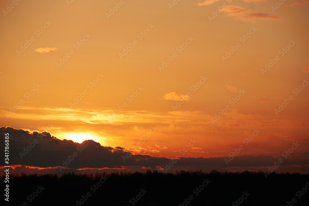 Landscape of a beautiful orange sunset in the sky with clouds and forest on the horizon. The weather in the summer