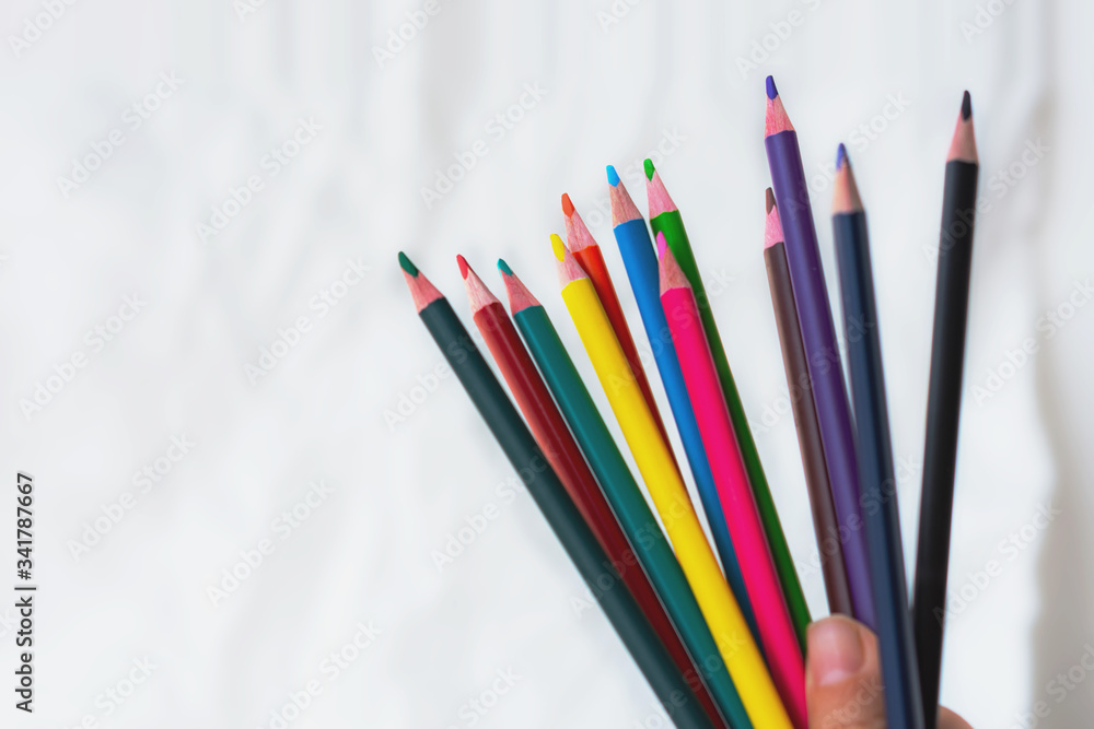 Pencils in hand isolated on white background. Colored pencils in a woman's hand Pencils in hand isolated on white background. Colored pencils in a woman's hand