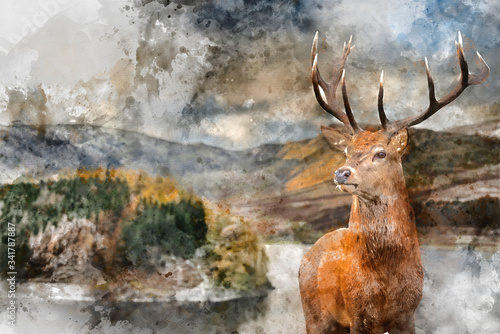 Digital watercolor painting of Majestic Autumn Fall landscape of Hawes Water with red deer stag Cervus Elpahus in foreground