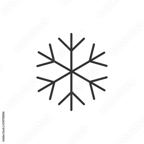 Snowflake icon. Winter symbol. Vector Illustration