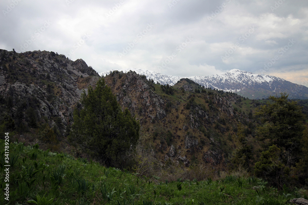Scenic landscape view near Sary-Chelek Lake, Kyrgyzstan