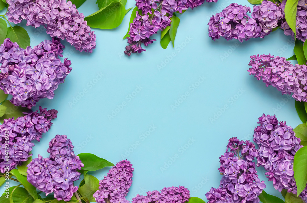 Frame from Beautiful blooming branches of lilac flowers on blue background. Greeting card with flowers for the holiday March 8 Mother's Day Spring nature floral background Flat lay top view copy space Frame from Beautiful blooming branches of lilac flowers on blue background. Greeting card with flowers for the holiday March 8 Mother's Day Spring nature floral background Flat lay top view copy space