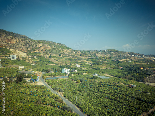Banana plantation from a bird's-eye view