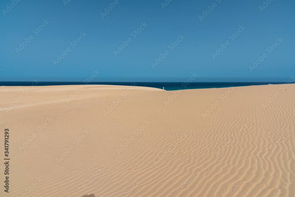 the sand desert dunes