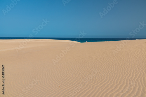 the sand desert dunes