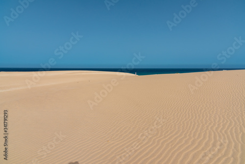 the sand desert dunes