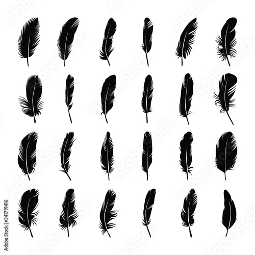 Hand Drawn black silhouette feather collection