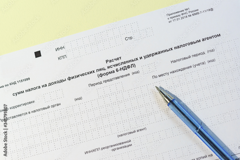 Russian accounting statements - form 6-personal income tax. Russian text Russian accounting statements - form 6-personal income tax. Russian text