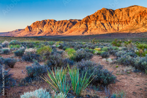 Sunrise on The Red Rock Escarpment and Mojave Desert, Red Rock National Conservation Area, Las Vegas, Nevada, USA