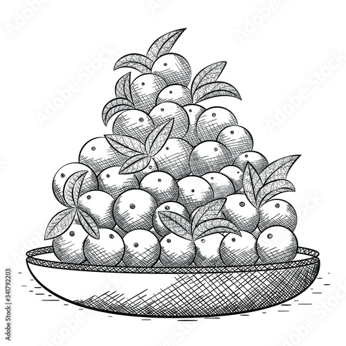 Sketch hand drawn cranberries with bowl