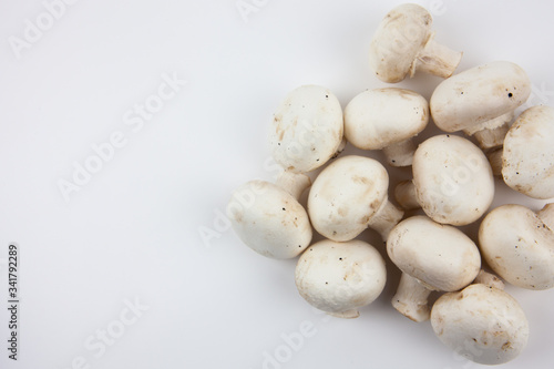 Mushrooms on a white background. Mushrooms for cooking delicious dishes.