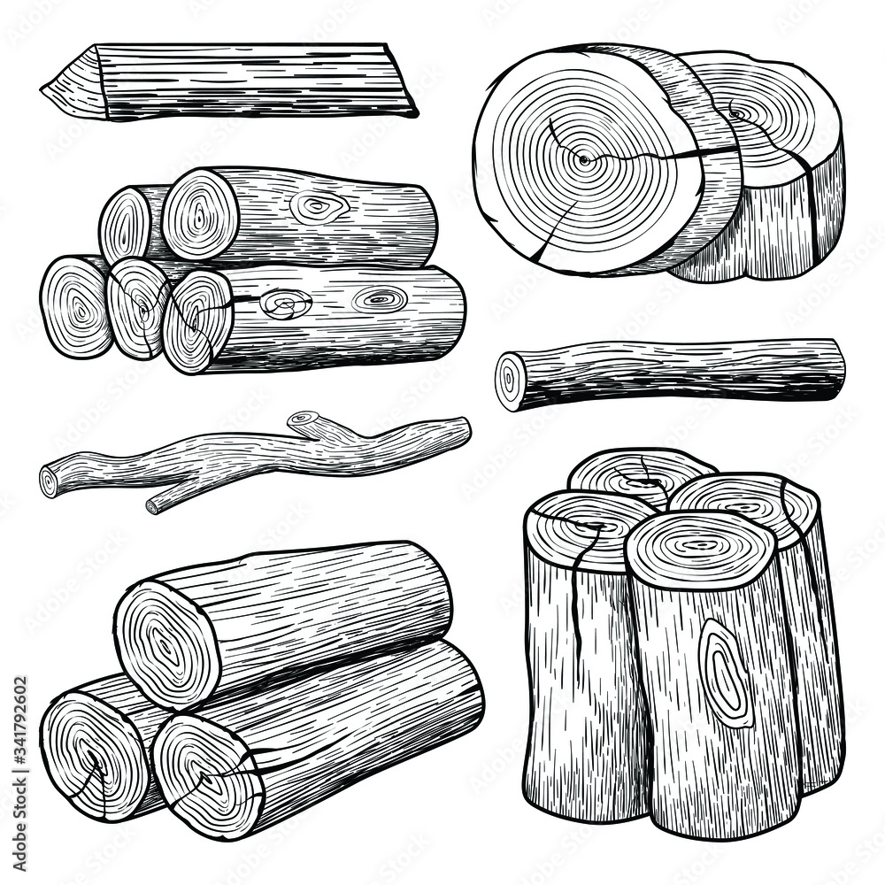 Sketch hand drawn Wood trunk collections Stock Vector | Adobe Stock