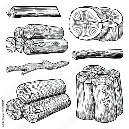 Sketch hand drawn Wood trunk collections